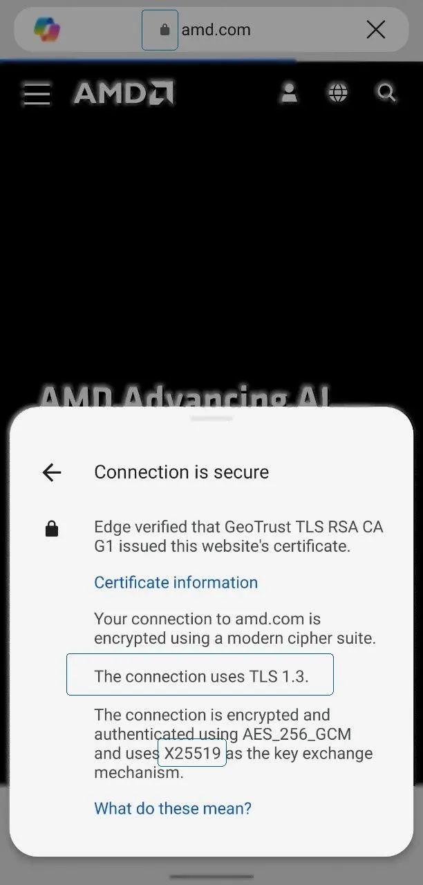 edge_connection_info